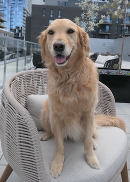 Heidi assise sur une chaise sur un toit-terrasse.